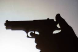 gun outline